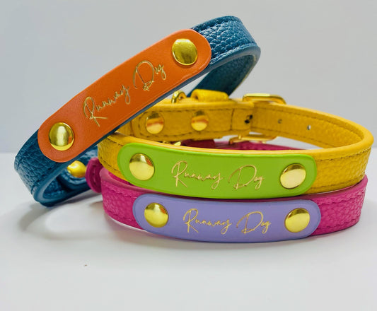 Signature Collars